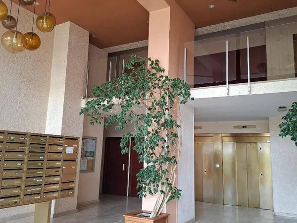 Appartement 3 pièces 79 m²