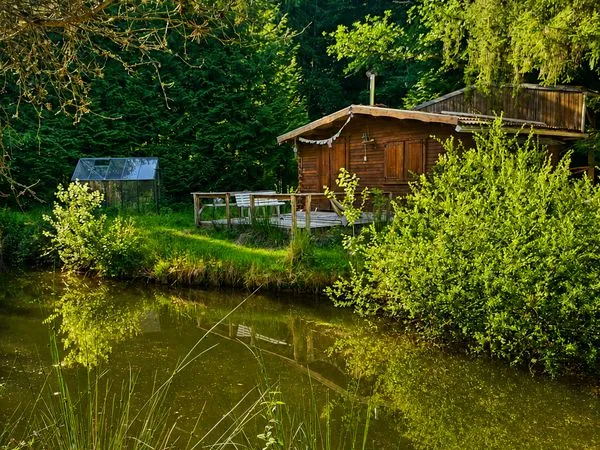 Étang 880 m² + chalet sur terrain arboré de 4 000 m² - À 10 min de la ville