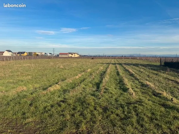 Terrain 269 m² Turckheim