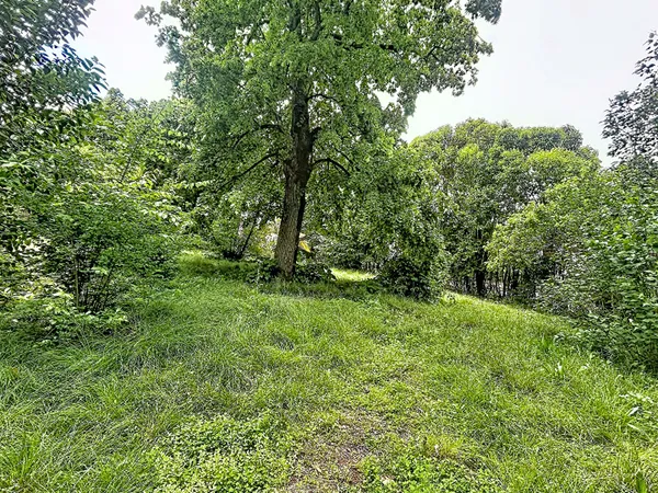 Terrain 700 m²