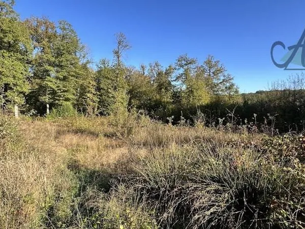 Terrain 2399 m²