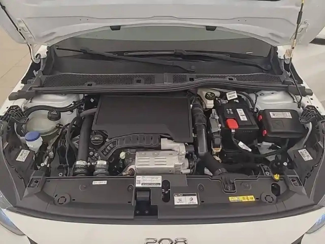 Peugeot 208 puretech 100 s&amp;s bvm6 — photo 30