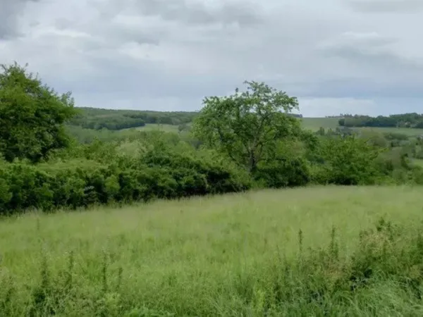 Terrain constructible 1596 m²