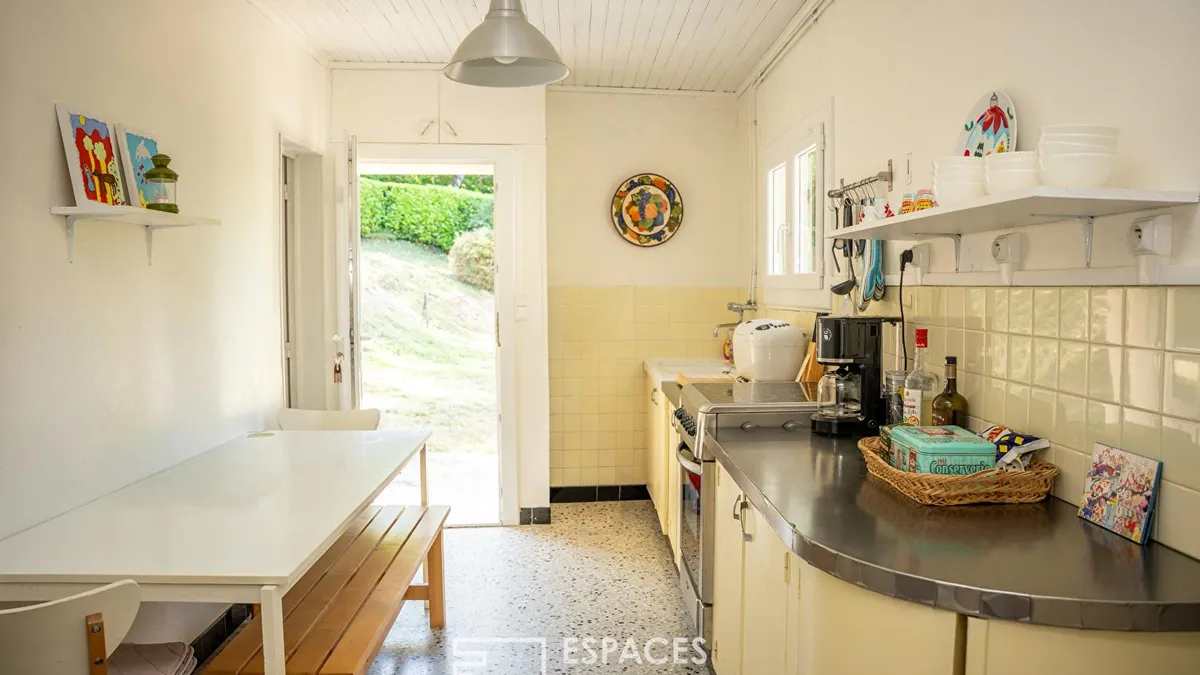 Photo 11