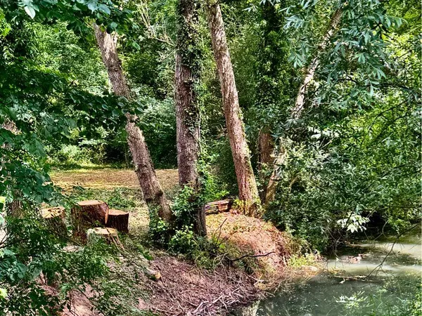 Vends terrain de loisir en bord de rivière + foret