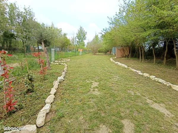 Terrain de loisir arboré avec Cabanon + eau