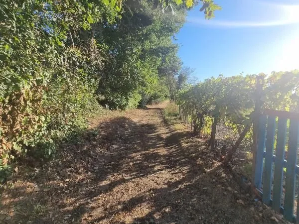 Terrain 1 000 m² Tremeur