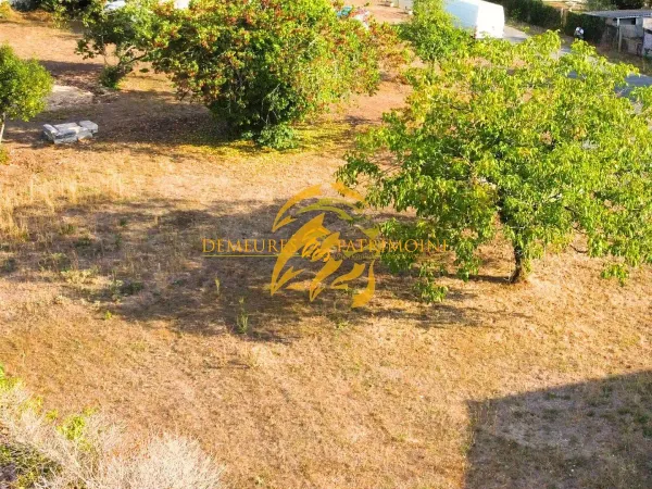 Terrain à bâtir 701 m²