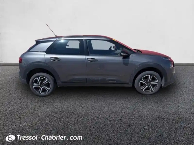 Citroën C4 cactus bluehdi 100 s&amp;s bvm6 shine — photo 13