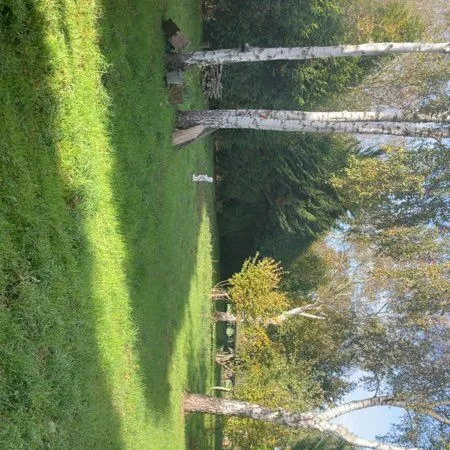 Terrain de loisir