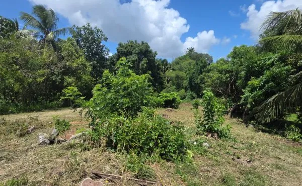 Terrain 1836 m²