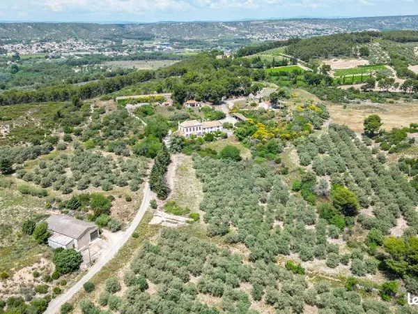 Vente domaine oléicole en Provence