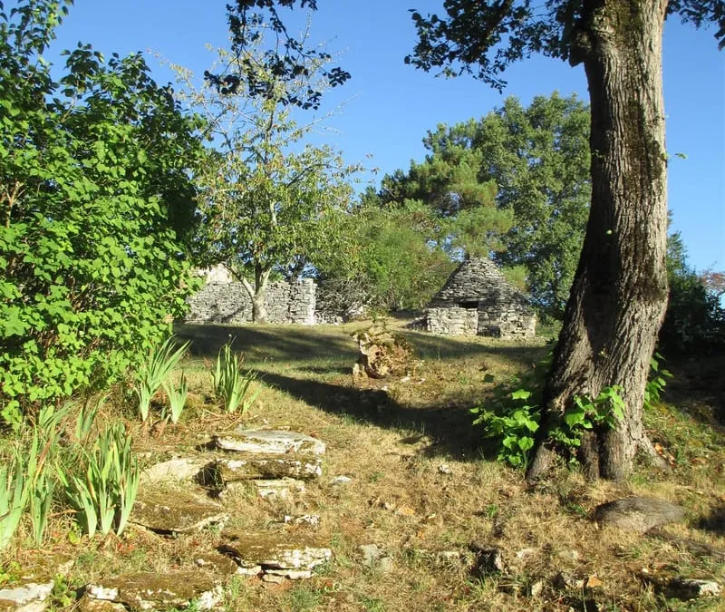 Photo 20