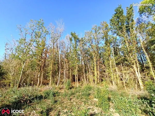 Terrain 19 013 m² Mareuil Sur Lay Dissais