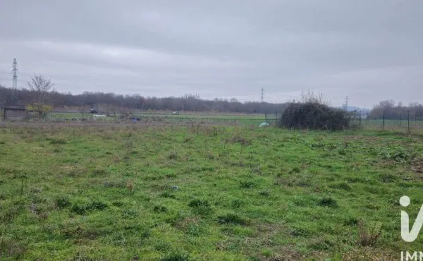 Terrain 49890 m²