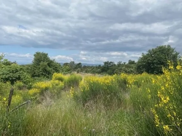 Terrain 644 m²