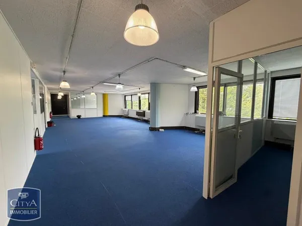 Local professionnel 278 m²