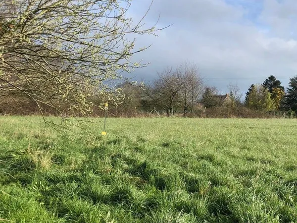 Terrain 700 m²
