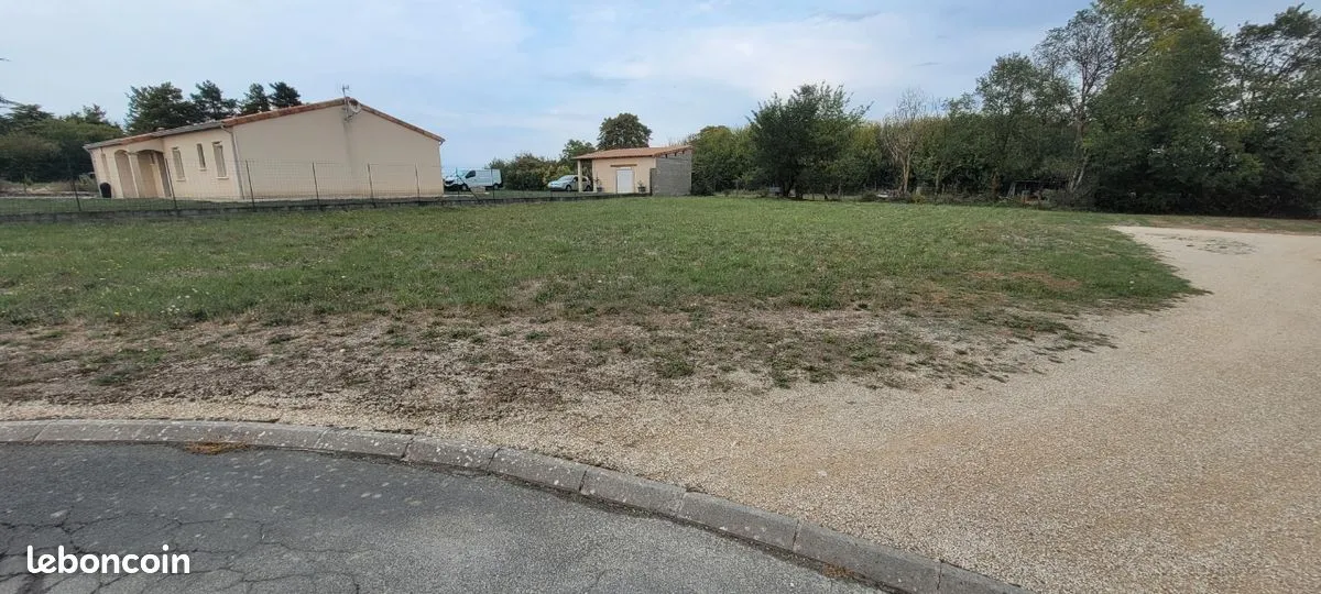 Photo 3