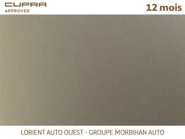 Cupra Formentor 1.4 e-hybrid 245 ch dsg6 — photo 13
