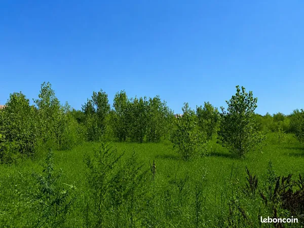 Terrain 281 m² La Rivière