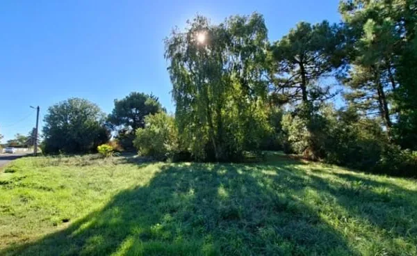 Terrain 533 m²