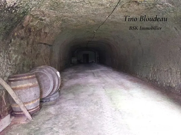 Cave voutée troglo