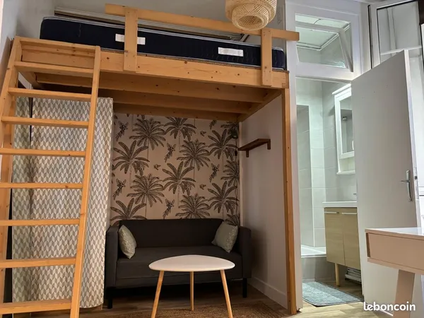 Appartement avec mezzanine centre ville