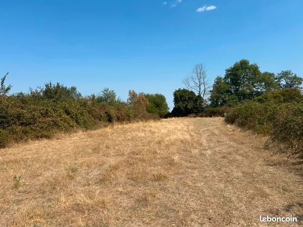 Terrain constructible