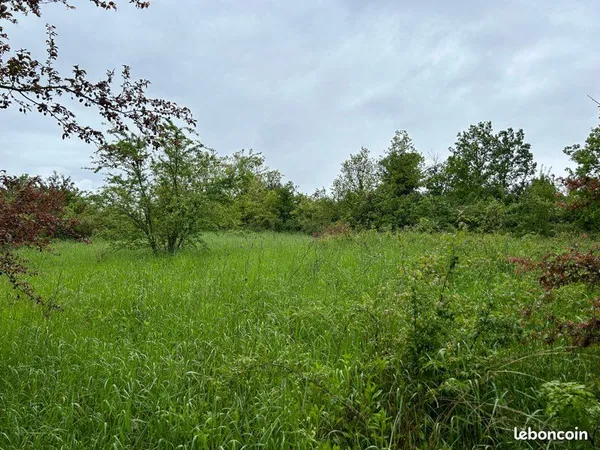 Terrain clos 2700m2 pour chevaux