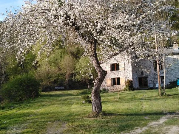 A vendre propriété de + de 9600m2 avec maison en pierres & renovee de 200m2renovee