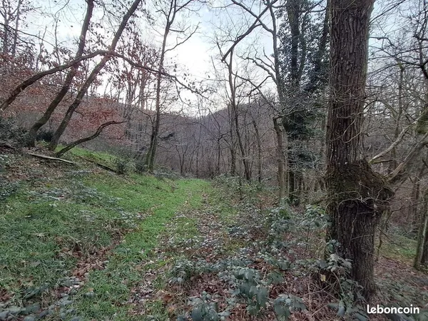 Terrain 2330 m² CHASSELAY