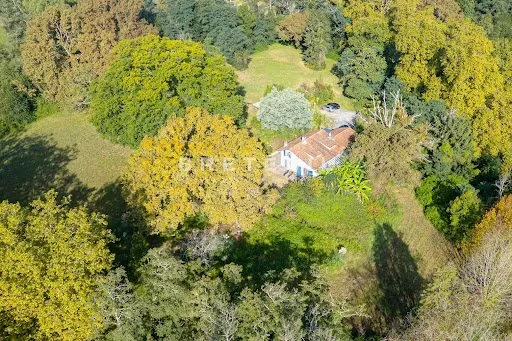Maison 5 pièces 253 m²