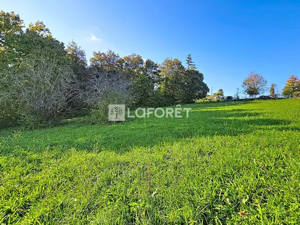 Terrain 2009 m²