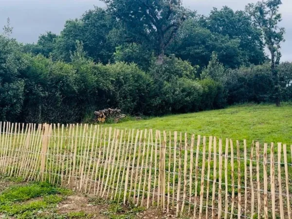Terrain 730 m²