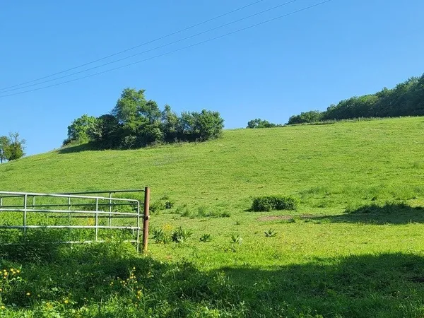 Terrain agricole sur 6 hectares, bois, sources, compteur électrique et eau, clos, abri animaux, chev
