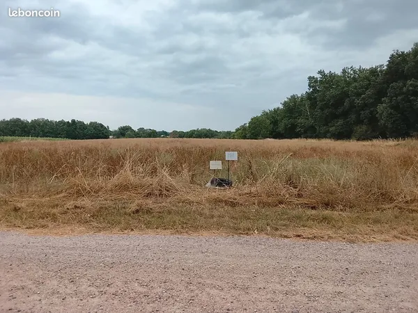 Vente de 12 hectares