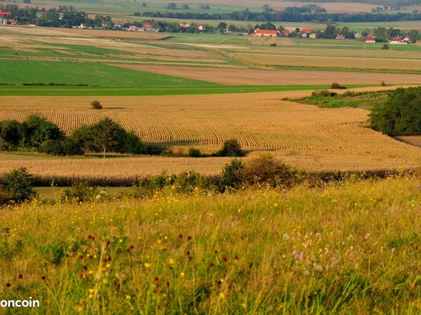 Terrain 1 082 m² Alincourt