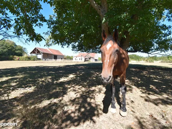 Longère 4 pièces 140 m²