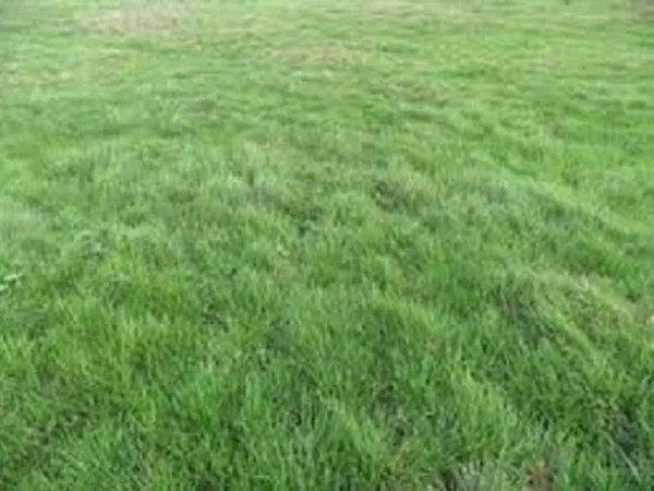 Terrain 468 m²
