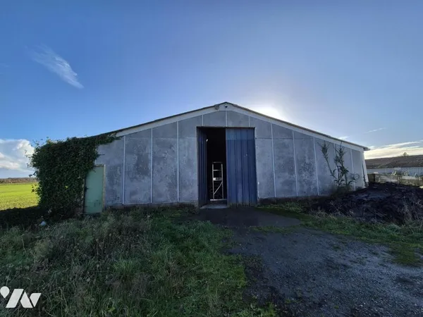 Local 1200 m²