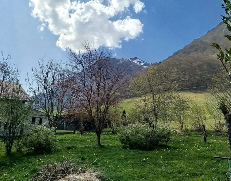 Photo 23