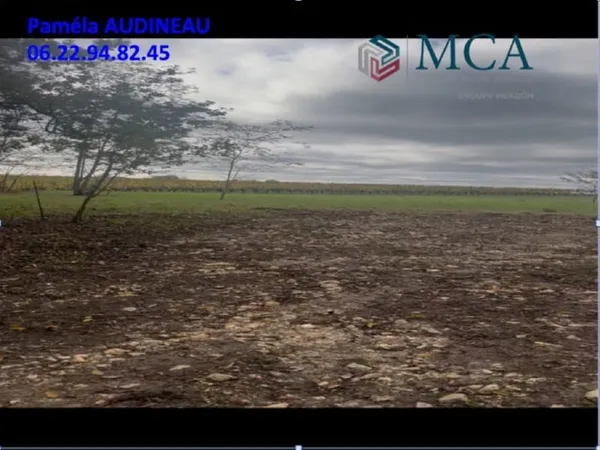 Terrain 5000 m²