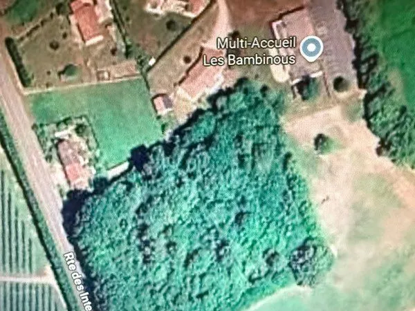 Terrain boisé 1 hectare
