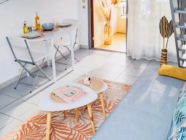 Appartement T2 + mezzanine ( 2 lits)