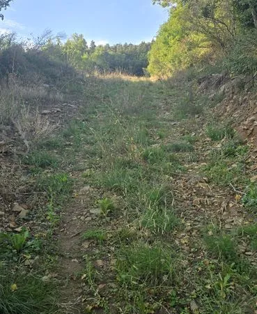 Terrain 9485 m² Beaux
