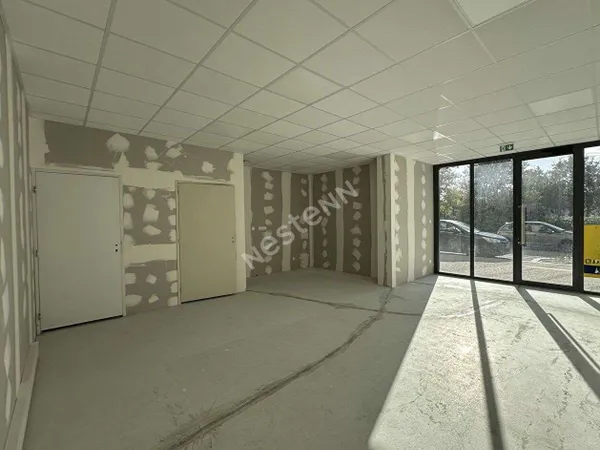 Local professionnel 44 m²