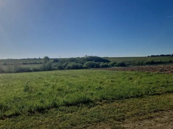 Terrain 708 m²