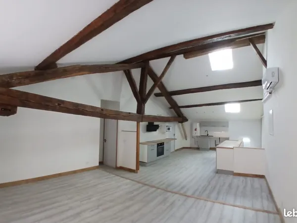 A louer Appartement Rénové Climatisé Centre-Ville DPE B