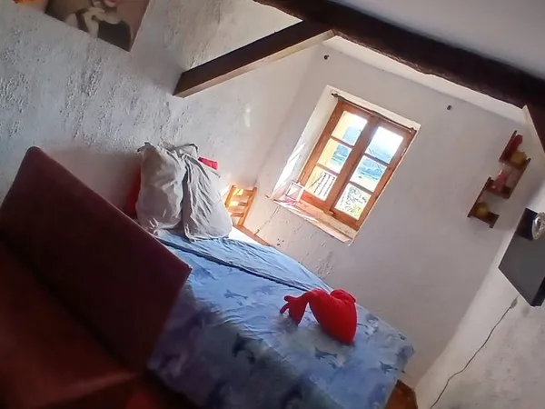 Belle chambre à louer dans maison de charme 350/mois